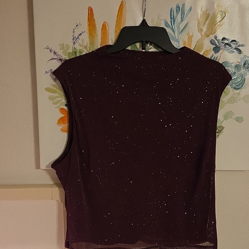 Chic Sparkling Sleeveless Crop Top